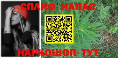 гашик Камышлов