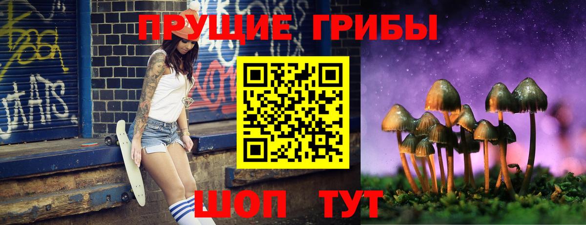 Кудымкар  Псилоцибиновые грибы мицелий  Вход с VPN  Галлюциногенные грибы Psilocybine cubensis 